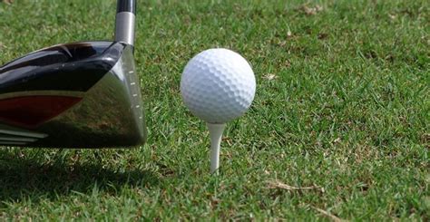 Use The Best Golf Tees For Beginners • Where's My Caddie?