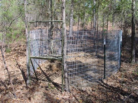 Hog Trapping - Trap & Gate Selection - JAGER PRO Store