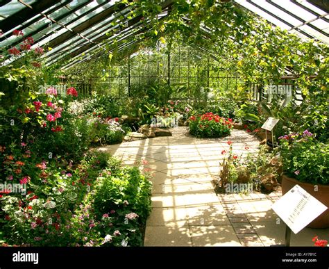 Cambridge University Botanic Gardens Greenhouse Plants Stock Photo - Alamy