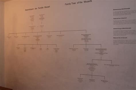 Mozart's Family Tree | Janice Olmstead | Flickr