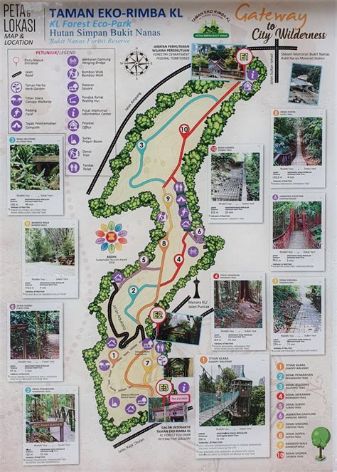 KL Forest Eco Park (Canopy Walk Trail) - 1step1footprint