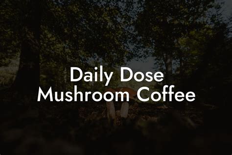 Daily Dose Mushroom Coffee - Mr Mushroom