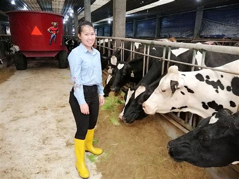 Special feed for A2 cows at Eco Farm – Asian Agribiz