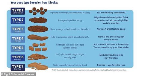 Doctors warn narrow stool could be a sign of COLON CANCER... here's what the shape of poop says ...