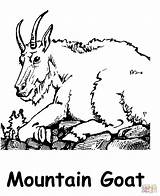 Mountain Goat coloring Page  Free Printable Coloring Pages sketch template
