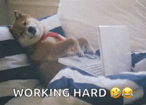 Dog Relaxing While Working Hard GIF | GIFDB.com