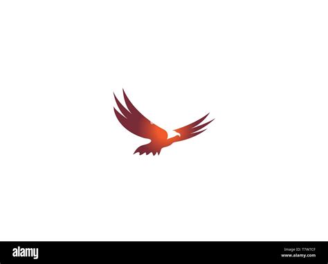 Eagle flying logo, hawk vector Stock Vector Image & Art - Alamy