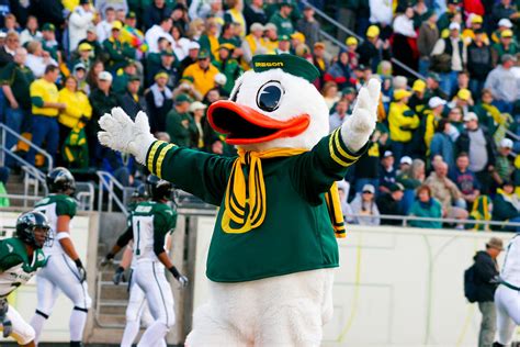 Oregon Ducks Mascot Puddles At Autzen Stadium Photograph by Joshua Rainey