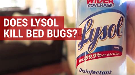 Does Lysol Kill Bed Bug Eggs - Pest Phobia
