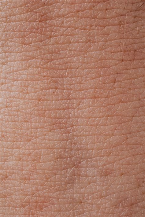 Close-up View Of Human Skin · Free Stock Photo