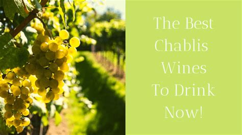 The Best Chablis Wines to Drink Now! - French Wine Explorers