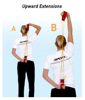 Back Strengthening Exercises: Back Strengthening Exercises With ...