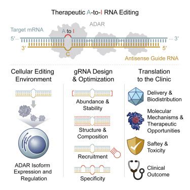 RNA editing: Expanding the potential of RNA therapeutics: Molecular Therapy