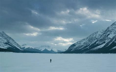 Extreme long shot | The revenant, Movie shots, Long shot