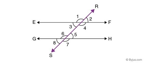 Alternate Interior Angles In Hindi – Two Birds Home