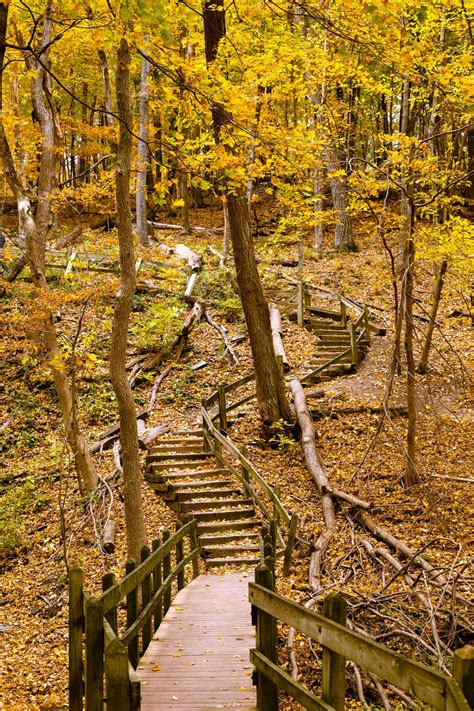 Staircase at Pikes Peak Iowa State Park | Smithsonian Photo Contest | Smithsonian Magazine