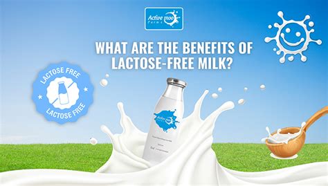 What Are The Benefits Of Lactose-Free Milk? - Active Moo Farmms