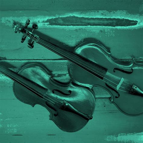 “Viola” vs. “Violin”: Time To Sound Out Their Differences | LaptrinhX / News