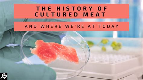 The History of Cultured Meat and Where We're at Today | BioInformant