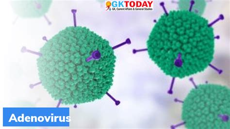 What is Adenovirus? – GKToday