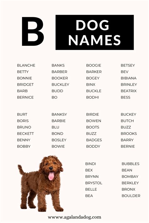 Ultimate List of Dog Names That Start With B | Find B Dog Names | Dog ...