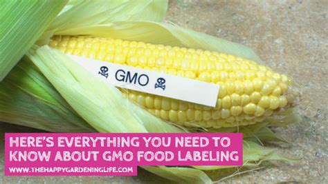 Here’s Everything You Need to Know About GMO Food Labeling – The Happy Gardening Life