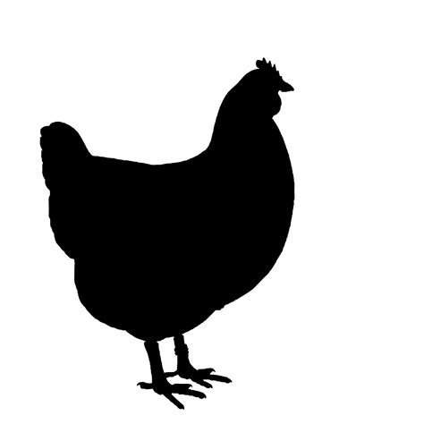 Black And White Chicken Clipart | Free download on ClipArtMag