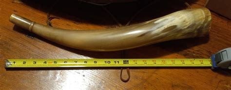 SOLD - Massive Hunting Horn bugle $30 plus shipping | The Muzzleloading ...