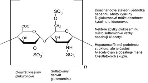 Heparan sulfate - WikiLectures