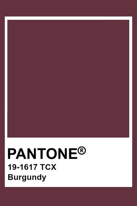 Pantone Burgundy | Pantone color, Pantone colour palettes, Pantone red