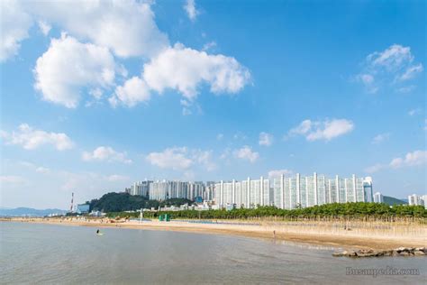 7 Beautiful Beaches in Busan, Korea