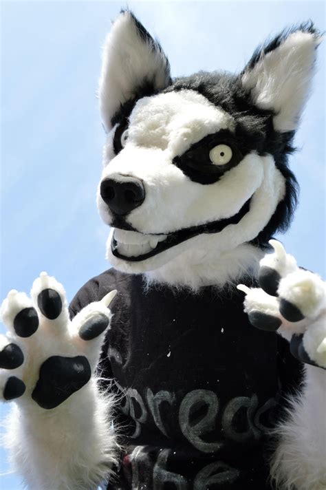 Smile Dog Fursuit by Metal-CosxArt on DeviantArt