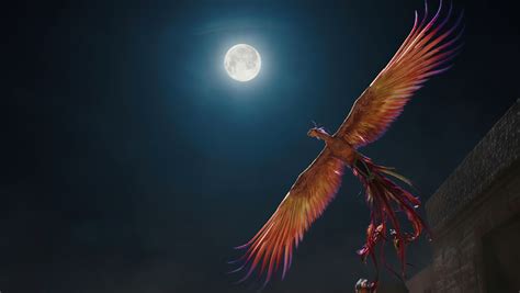 1360x768 Mulan Phoenix 5k Laptop HD ,HD 4k Wallpapers,Images ...