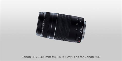 5 Best Lenses for Canon 60D in 2024