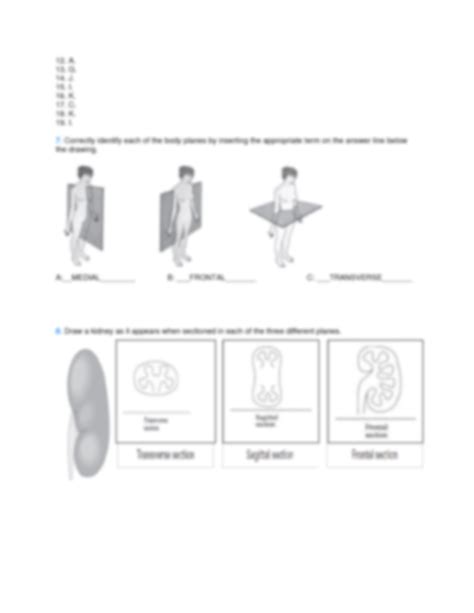 SOLUTION: Human anatomy and physiology lab exercise 1 - Studypool