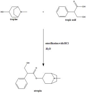 ATROPINE Synthesis, SAR, MCQ,Structure,Chemical Properties and ...