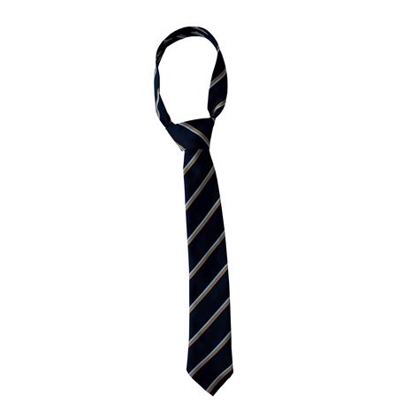 Dene Magna School Tie - Gooch Sports