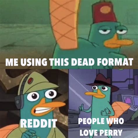 Perry The Platypus Memes