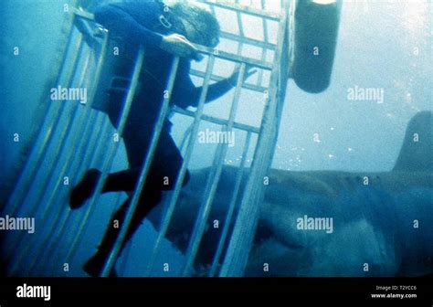 SHARK, DIVER, UNDERWATER CAGE, JAWS, 1975 Stock Photo - Alamy