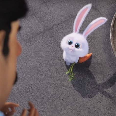 Watch Kevin Hart Voice This Adorable (But Savage) Bunny in 'The Secret Life of Pets' Trailer ...