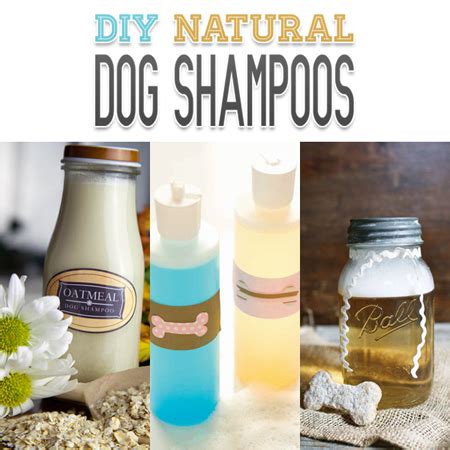 DIY Natural Dog Shampoos - The Cottage Market