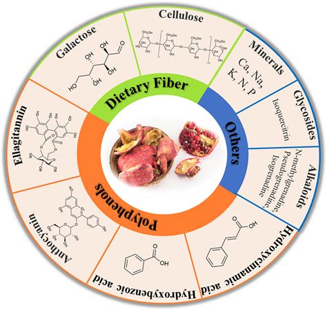 Frontiers | Pomegranate Peel as a Source of Bioactive Compounds: A Mini ...