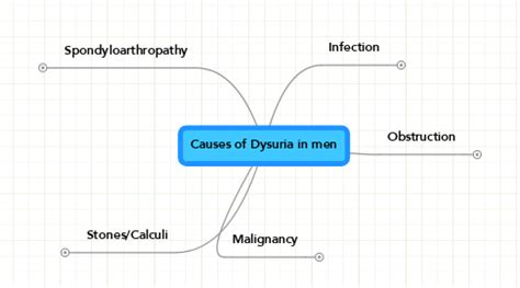 Causes of Dysuria in men | MindMeister Mind Map