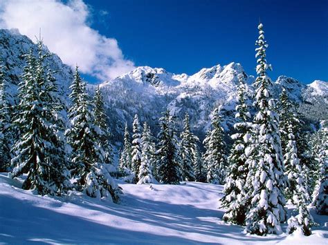 Montana Winter Wallpapers - Top Free Montana Winter Backgrounds ...