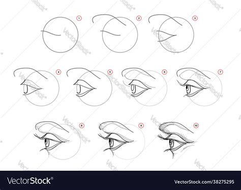 Page shows how to learn draw sketch human Vector Image