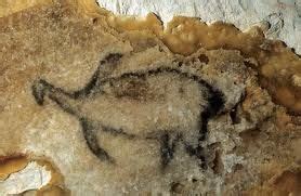 Grotte Cosquer Animal | Cave paintings, Prehistoric painting, Paleolithic art