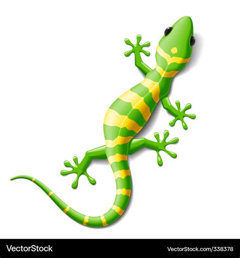 Gecko Royalty Free Vector Image - VectorStock