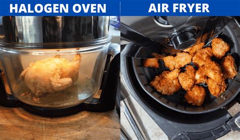 Halogen Oven vs Air Fryer - Which One is Right For You?