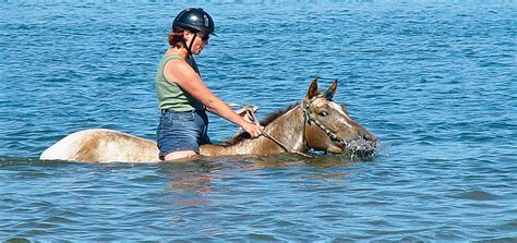 6 How-To Tips for Swimming Safely With Your Horse