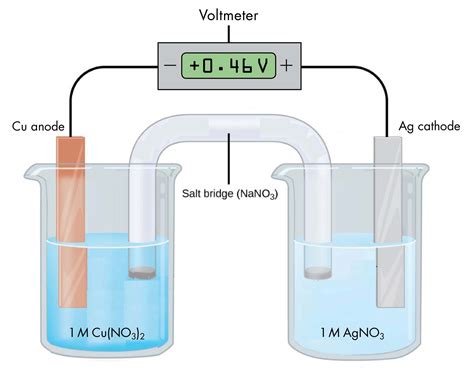 Galvanic Cell Labeled